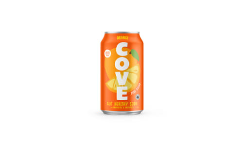 Organic Gut Healthy Soda Orange- Code#: DR2711