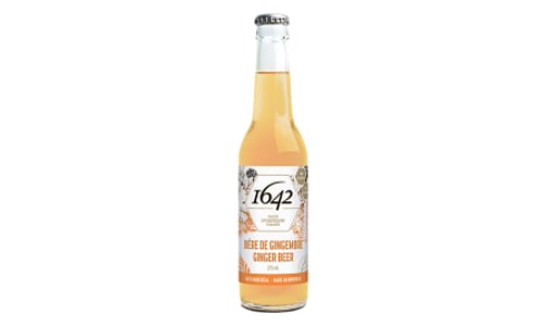 Ginger Beer- Code#: DR2724