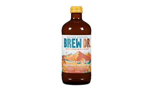 Organic Ginger & Turmeric Kombucha- Code#: DR3064