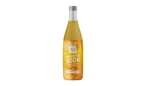 Sparkling Probiotic Soda, Lemon Ginger- Code#: DR3676