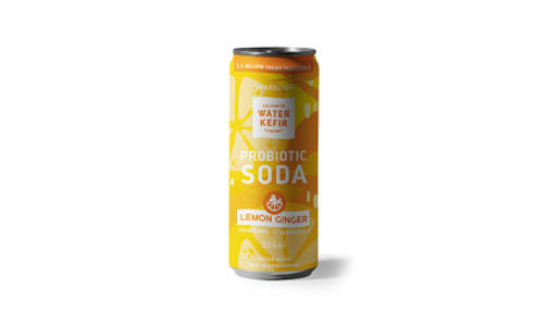 Organic Lemon Ginger Sparkling Probiotic Soda- Code#: DR5192