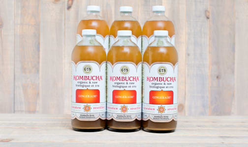 Organic Gingerade Kombucha - CASE- Code#: DR9551-CS