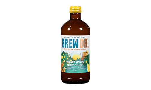 Organic Lemon Ginger Cayenne Kombucha- Code#: DR9602
