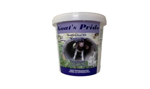 Whole Goat Milk Blueberry Yogurt- Code#: DY0185