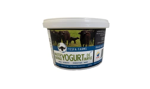Whole Water Buffalo Milk Yogurt- Code#: DY0186