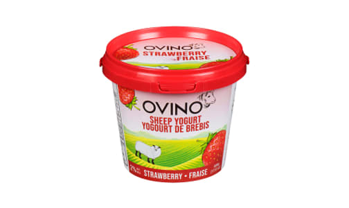 2% Strawberry Sheep Yogurt- Code#: DY0205