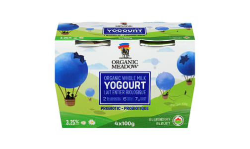 Organic Yogurt Blueberry- Code#: DY0279