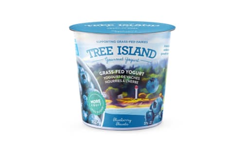 Blueberry Yogurt- Code#: DY0314