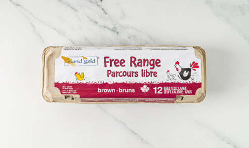Free Range Large Brown Eggs- Code#: EG0132