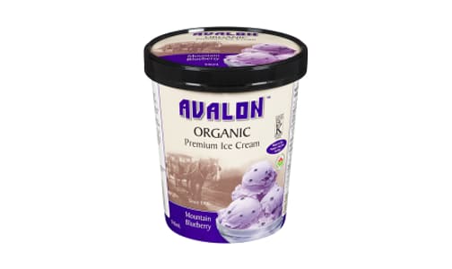 Organic Ice Cream Mountain Blueberry (Frozen)- Code#: FD0197