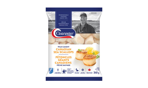 Canadian Scallops 20/40 Frozen At Sea (Frozen)- Code#: FZ0375