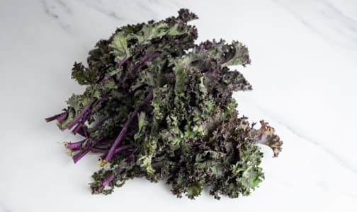 Organic Kale, Red- Code#: PR100139NCO