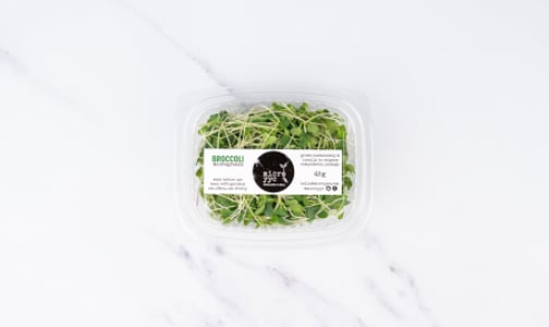 Local Microgreens, Broccoli - Compostable materials- Code#: PR147368LCN