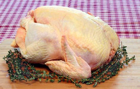 Fresh Free Run Turkey- Code#: MP1601B