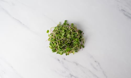 Local Microgreens, Spicy Mix - Compostable materials- Code#: PR147266LCN