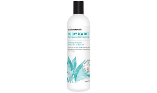 Big Sky Tea Tree Shampoo- Code#: PC5578