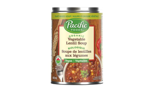Organic Hearty Vegetable Lentil Soup- Code#: PM1878