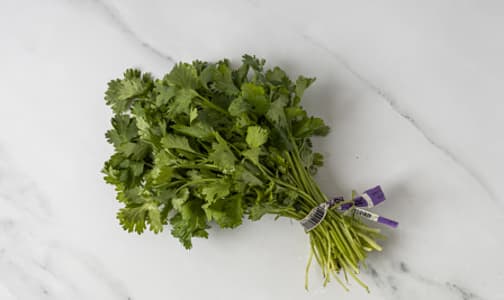 Organic Cilantro- Code#: PR100080NCO