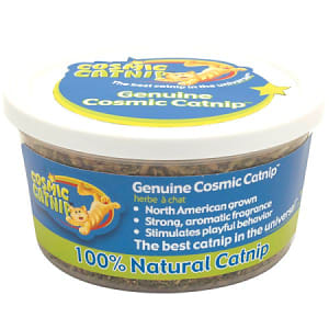 Cosmic Catnip- Code#: PS522