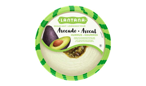 Hummus Avocado- Code#: SP0568