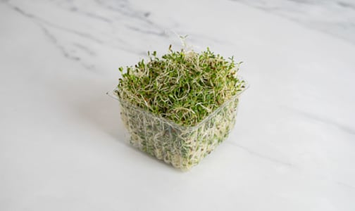Local Organic Sprouts, Alfalfa- Code#: PR100258LCO