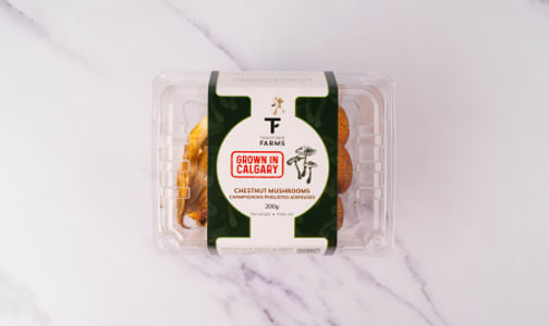 Local Mushrooms, Chestnut- Code#: PR147796LCN