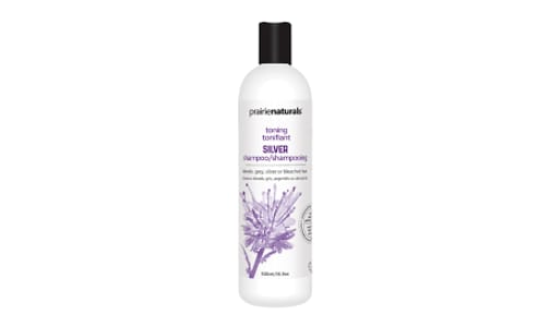 Silver Shampoo- Code#: VT3827