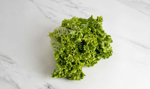 Organic Lettuce, Leaf - Green- Code#: PR100349NCO