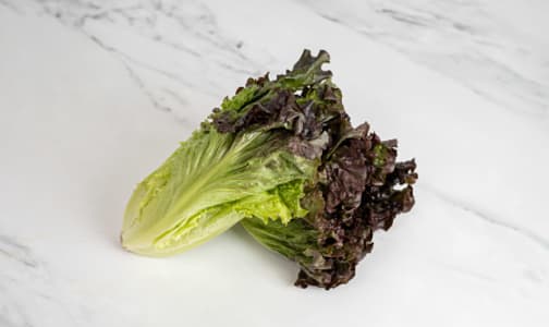 Organic Lettuce, Red Leaf- Code#: PR100151NCO