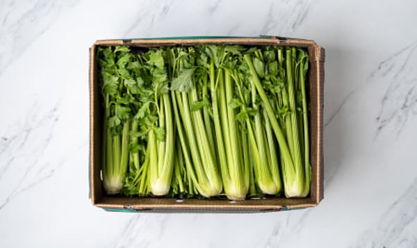 Organic Celery, Case