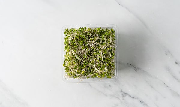 Local Organic Sprouts, Broccoli