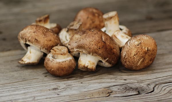 All Seasons Mushrooms Local Organic Mushrooms Crimini 1 2lb 227g Shop At Spud Ca