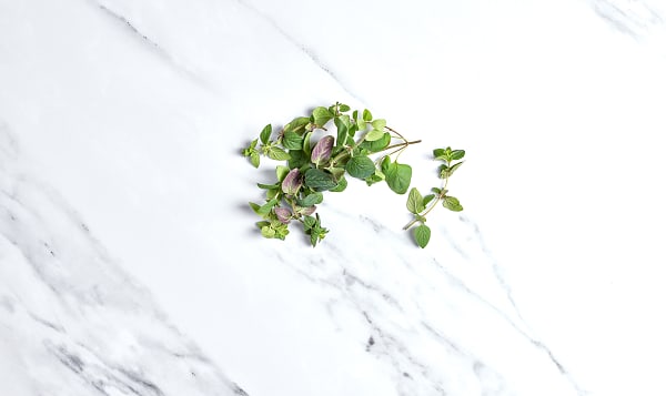 Local Herbs, Oregano - May sub Org BC