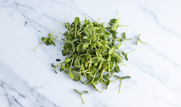 Local Organic Microgreens, Sunflower Shoots