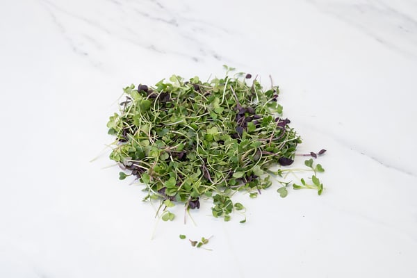 Local Organic Microgreens, Spicy Flare