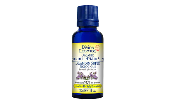 Organic Essential Oil - Lavender Hybrid Super