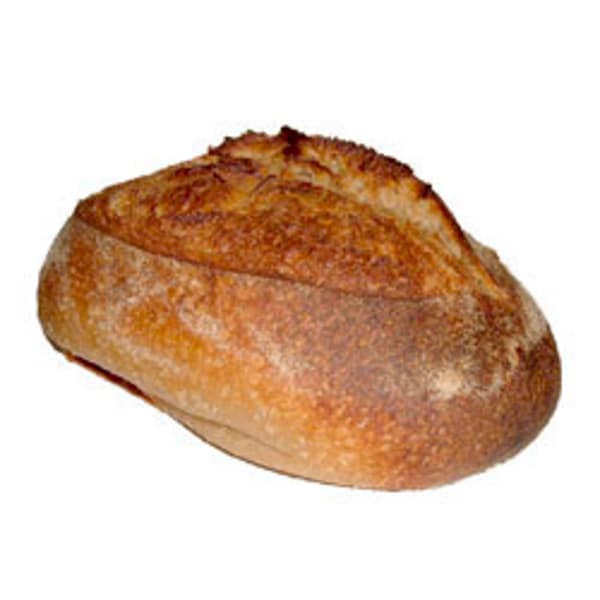 Organic Rustic White Bread