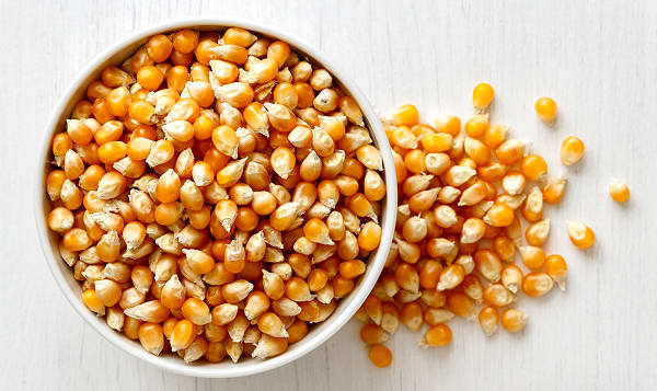 Organic Popcorn Non GMO