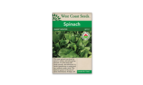 Organic Giant Winter Spinach Seeds