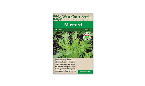 Mizuna Seeds