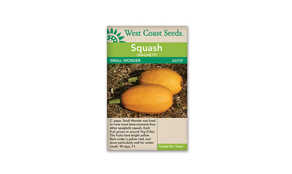 Small Wonder Spaghetti Squash Seeds