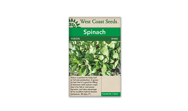 Yukon Baby Leaf Spinach Seeds