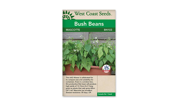 Mascotte Bean Seeds