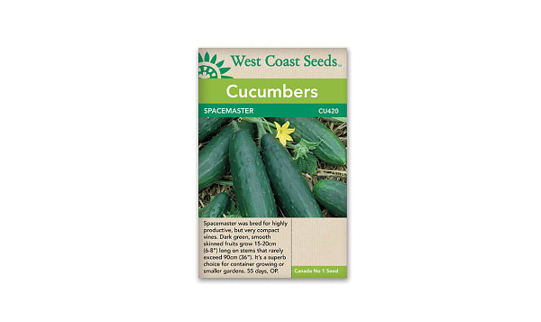 Space Master Cucumber Seeds