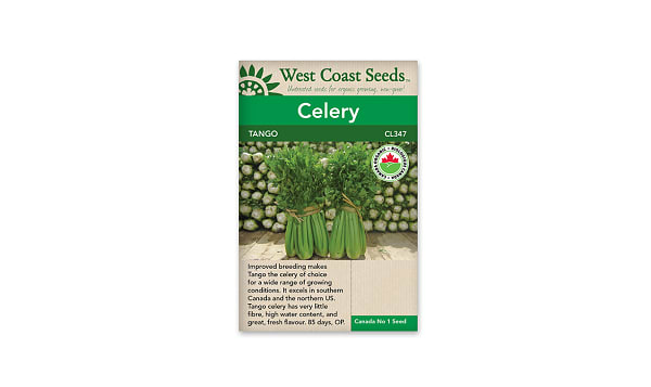 Organic Tango Celery Seeds
