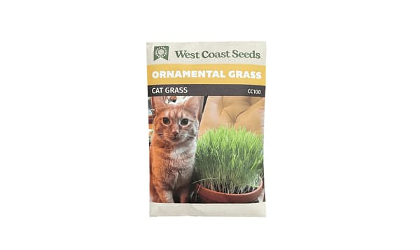 Catgrass Seeds