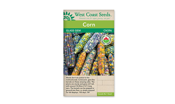 Organic Glass Gem Corn Seeds