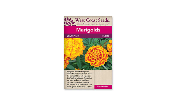 French Marigold Flower Seeds