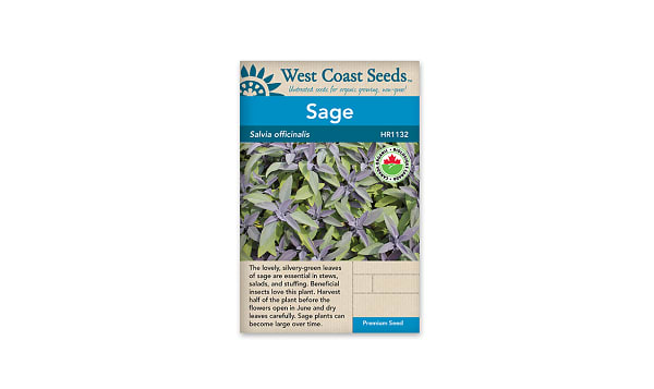 Organic Organic Sage Seeds