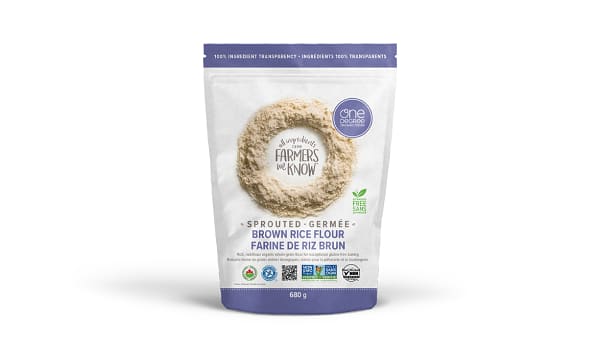 Gluten Free Organic Sprouted Brown Rice Flour